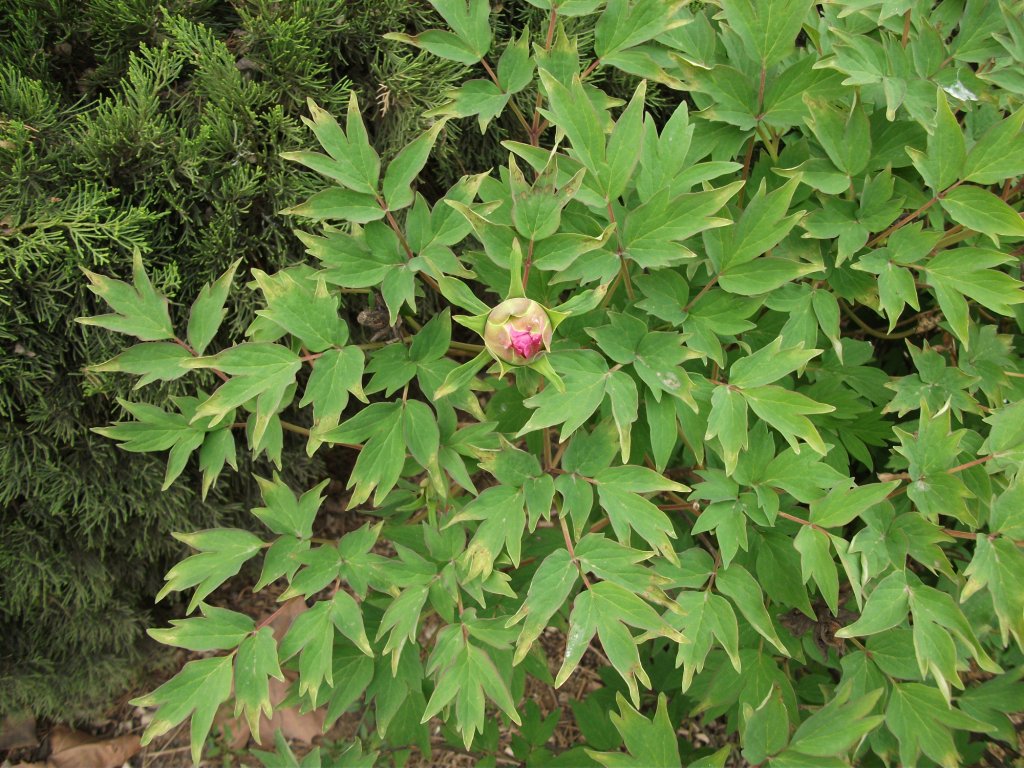 DSCF5820.JPG