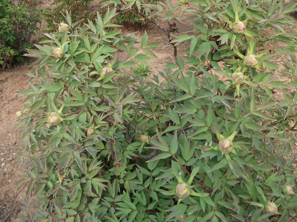DSCF5823.JPG