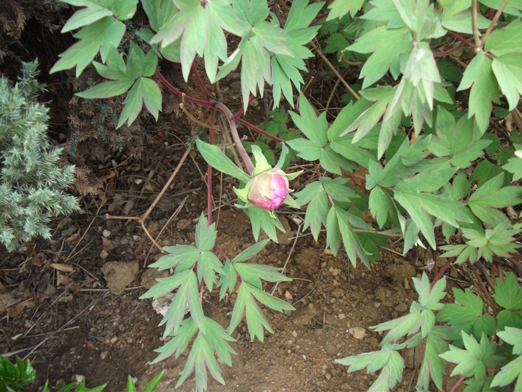 DSCF5824.JPG