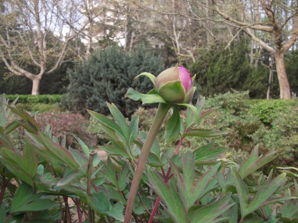 DSCF5826.JPG