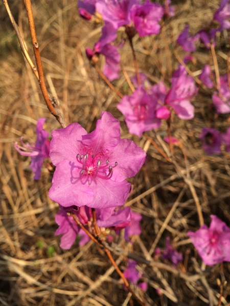 IMG_1739_副本.jpg
