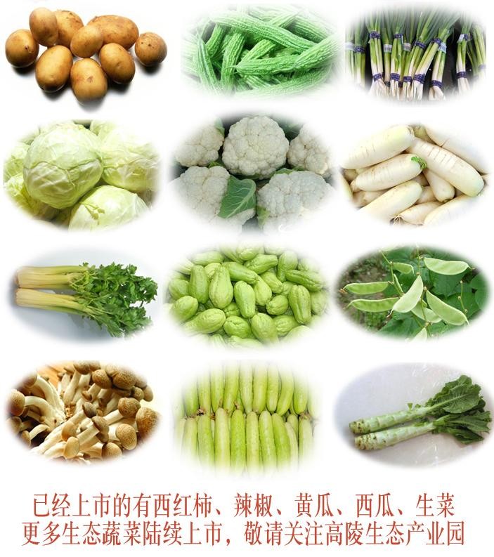 蔬菜.jpg