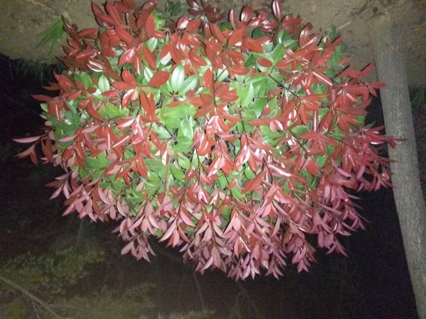 20140219_183913_LLS.jpg