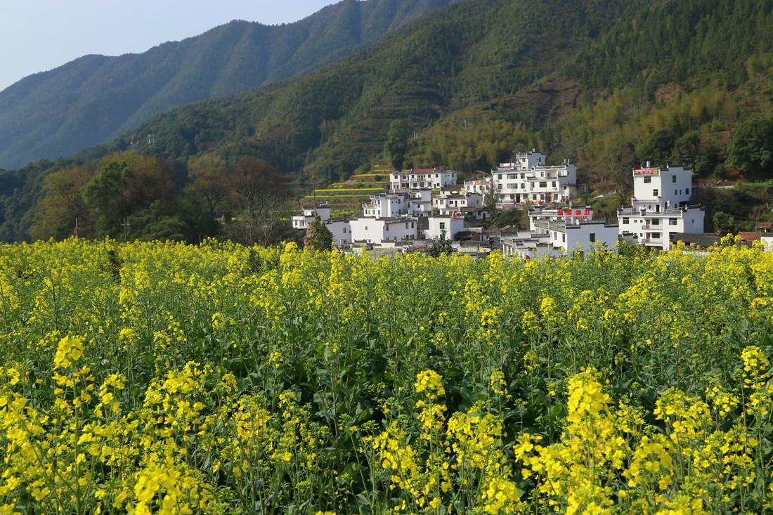 IMG_0897_副本.jpg