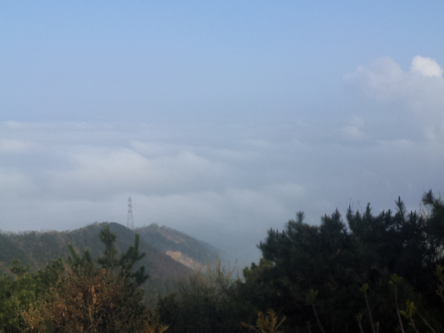 20140418_071921.jpg