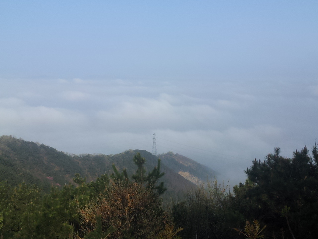 20140418_071856.jpg