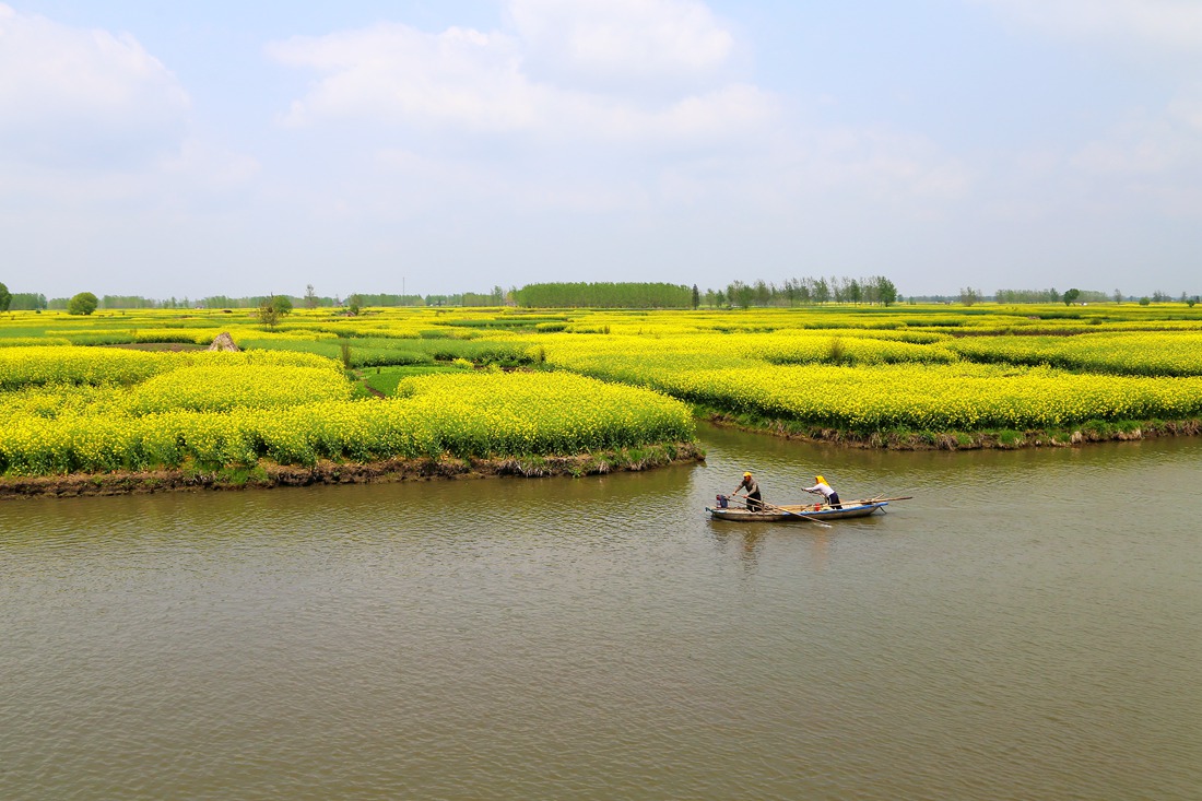 IMG_0874_副本.jpg