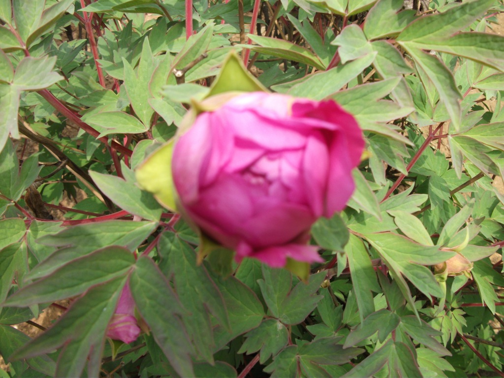 DSCF5902.JPG