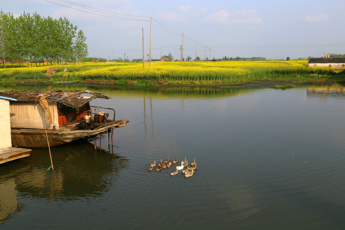 IMG_1073_副本.jpg