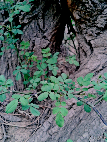 20140420_175917_mh1397994674902.jpg