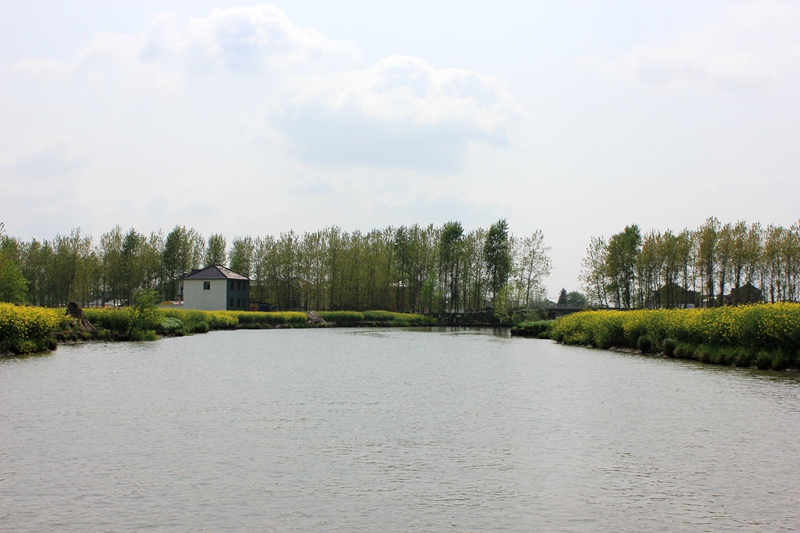IMG_8630.jpg