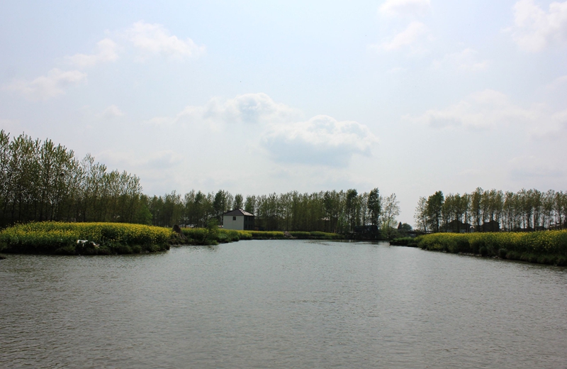 IMG_8631.jpg
