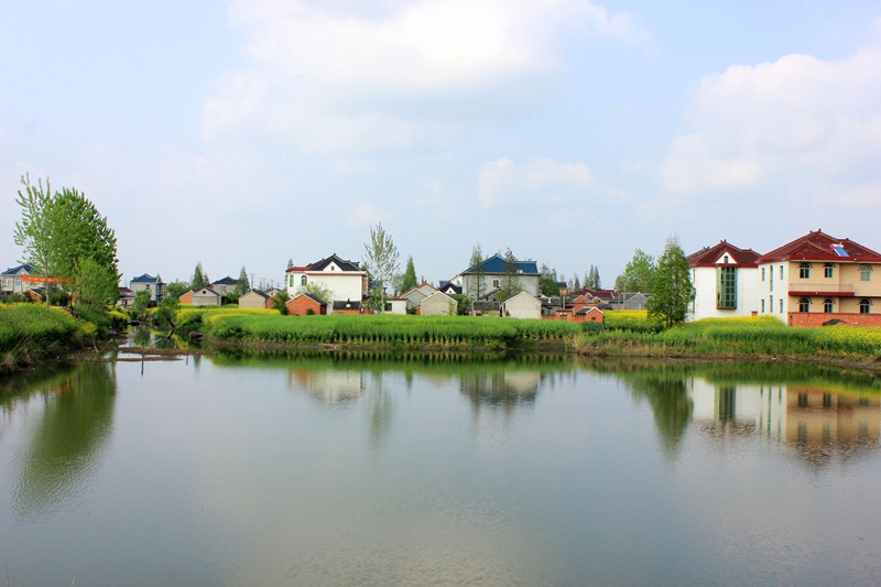 IMG_8747.jpg