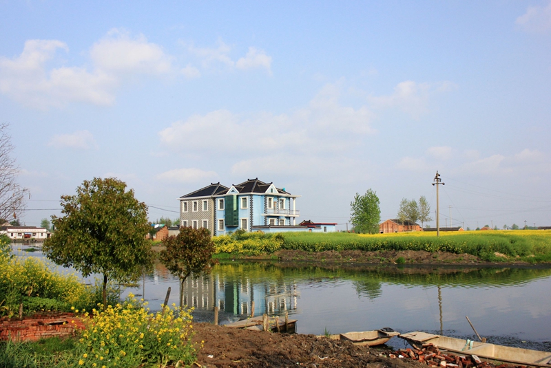 IMG_8862.jpg