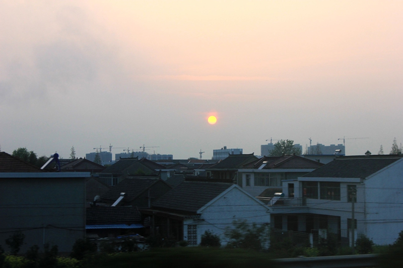 IMG_8889.jpg