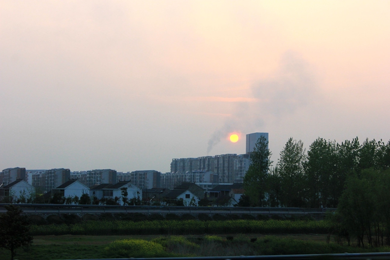 IMG_8888.jpg