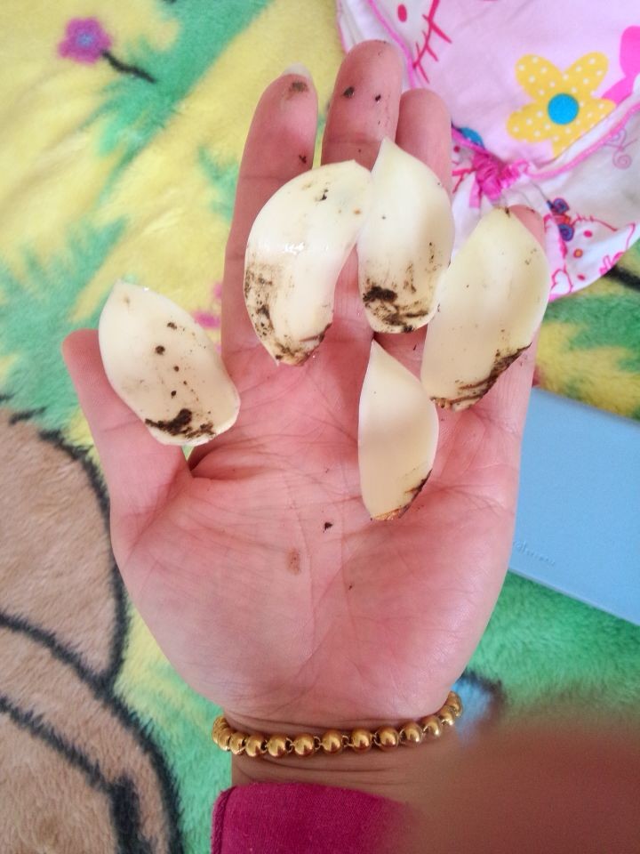 QQ图片20140423142830.jpg