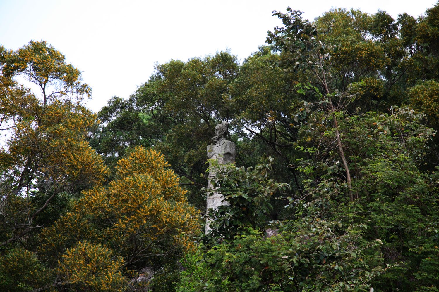 海南，厦门，武夷山 333.jpg