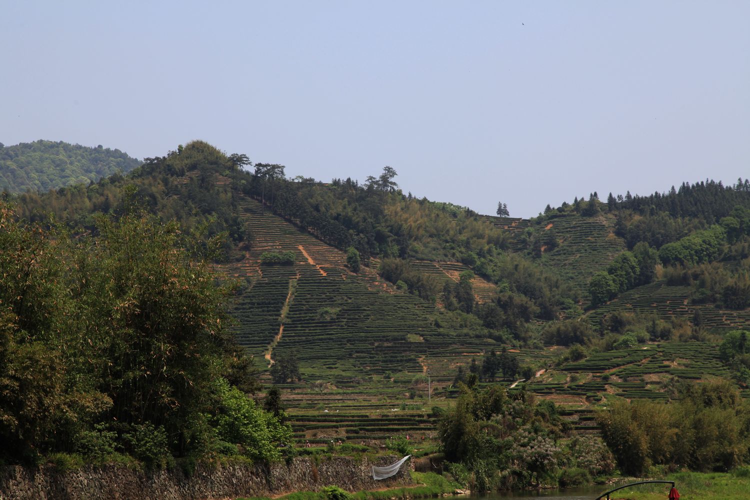 海南，厦门，武夷山 438.jpg