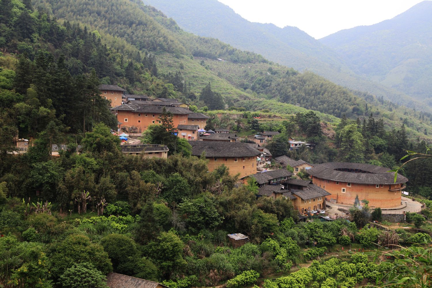 海南，厦门，武夷山 515.jpg