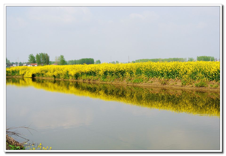DSC_4977.jpg