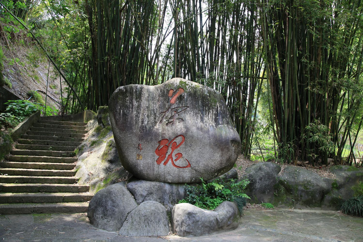 海南，厦门，武夷山 720.jpg