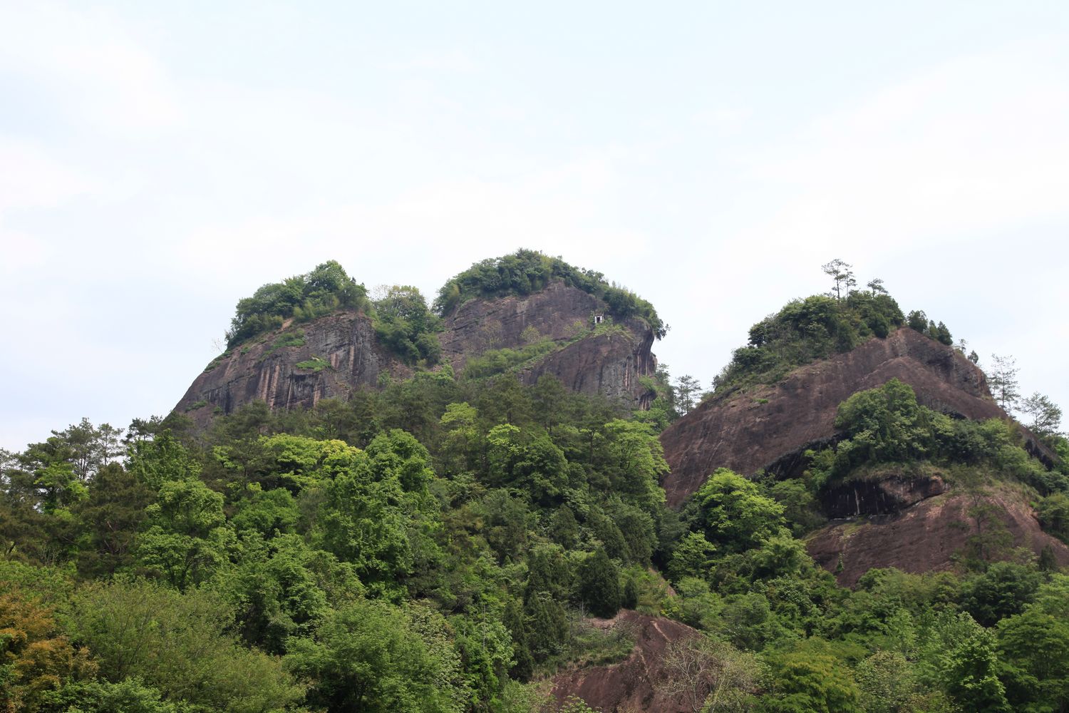 海南，厦门，武夷山 721.jpg