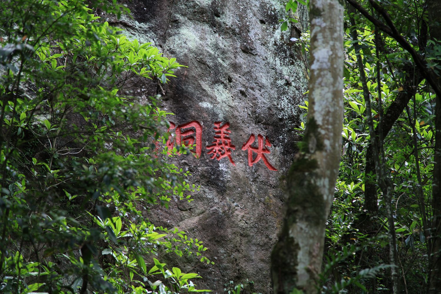 海南，厦门，武夷山 727.jpg