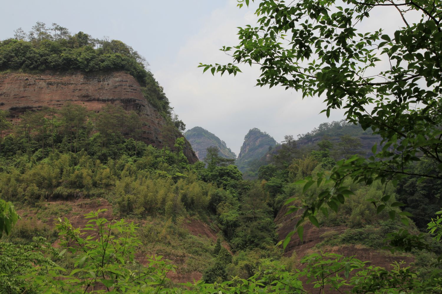 海南，厦门，武夷山 730.jpg