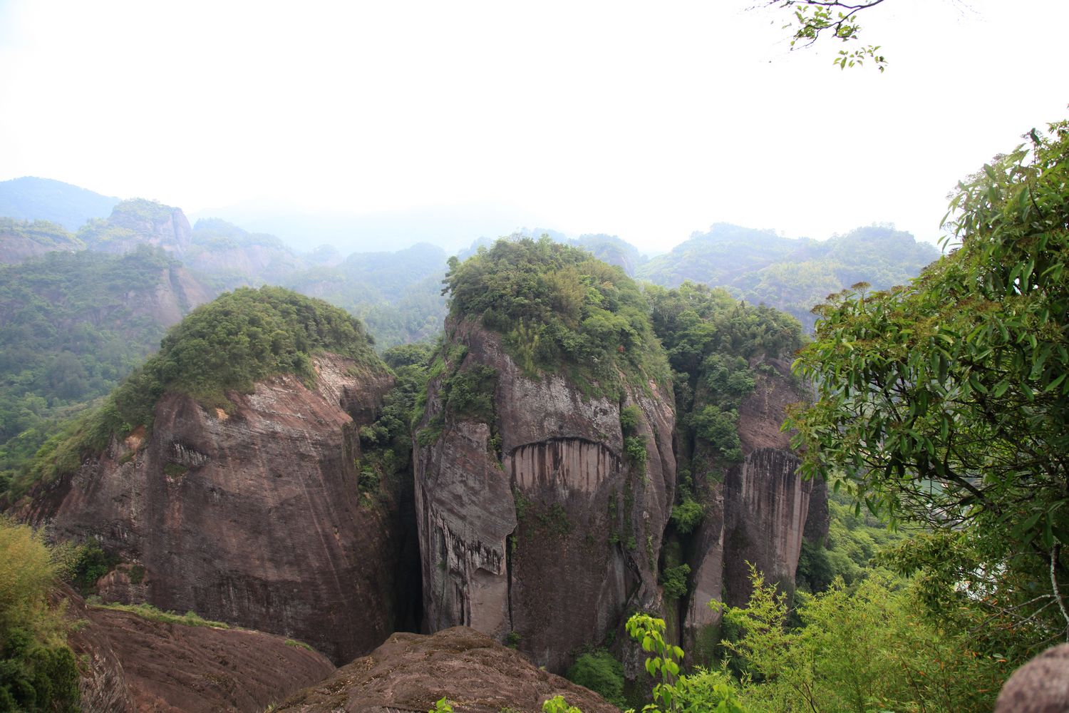 海南，厦门，武夷山 797.jpg