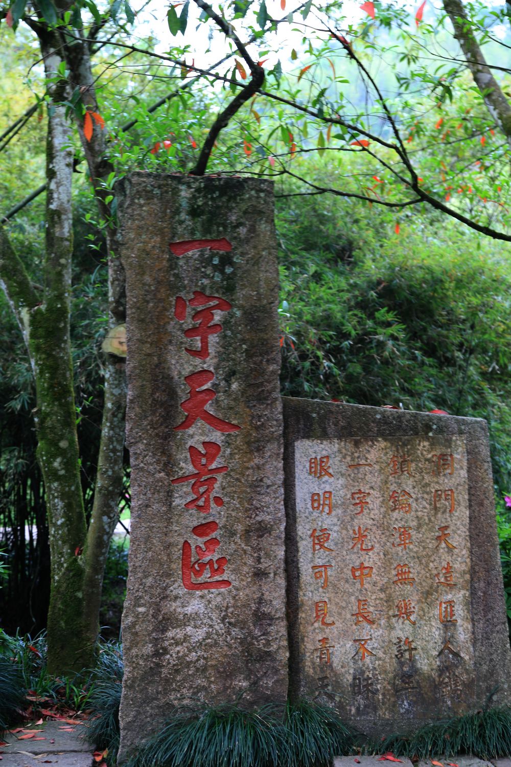海南，厦门，武夷山 845.jpg