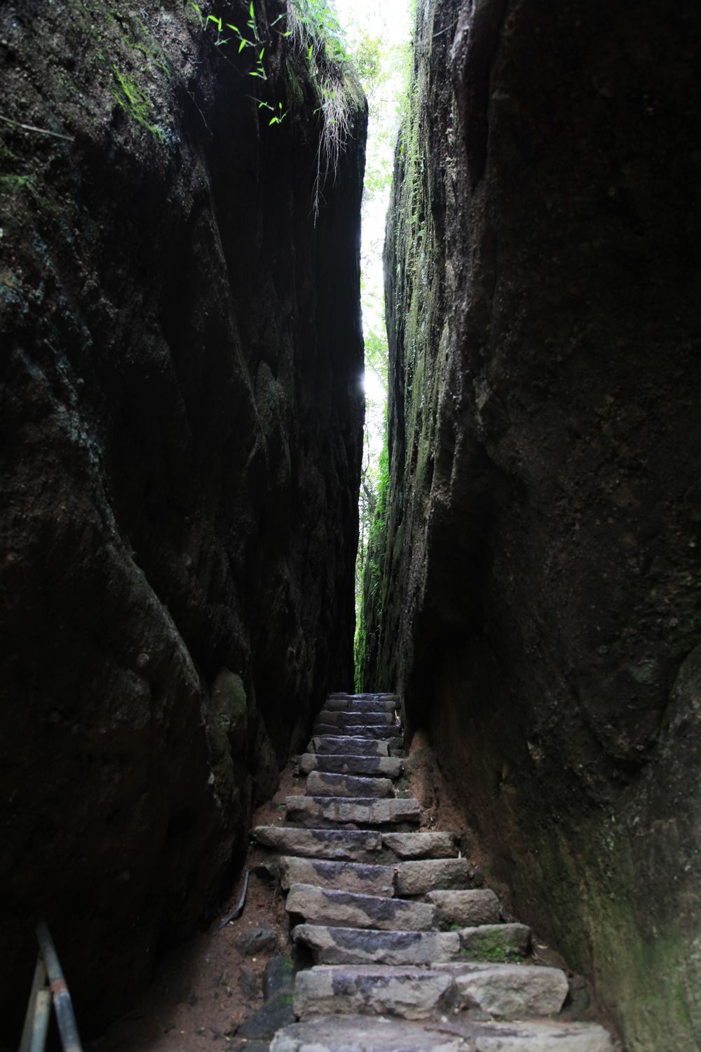 海南，厦门，武夷山 855.jpg