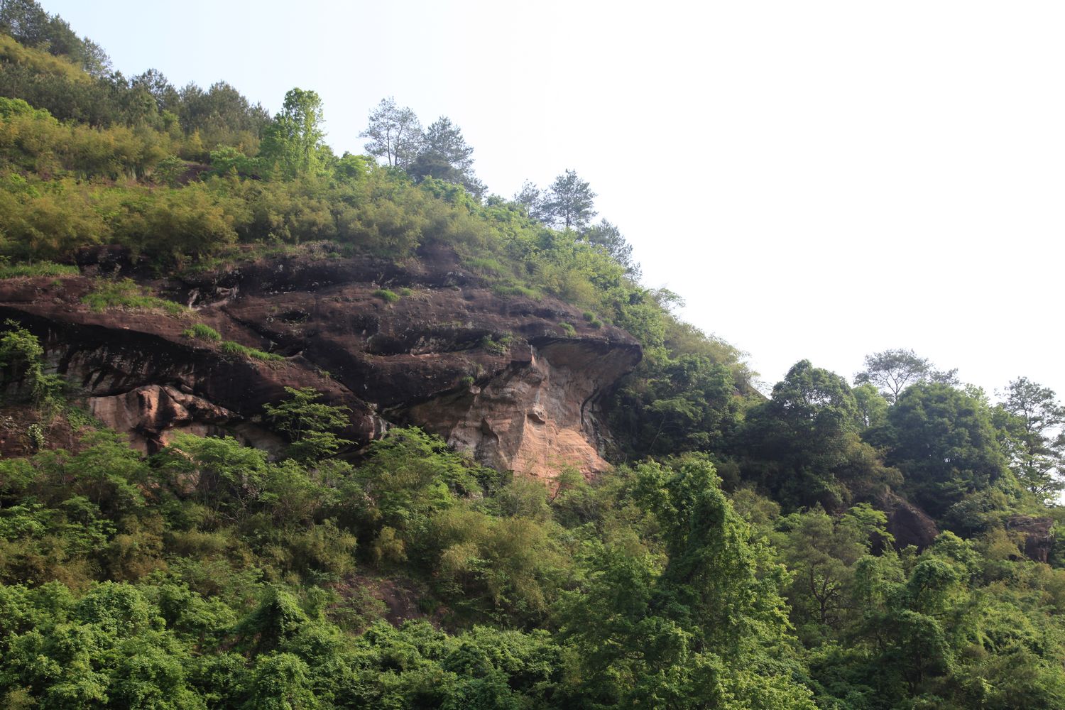 海南，厦门，武夷山 901.jpg