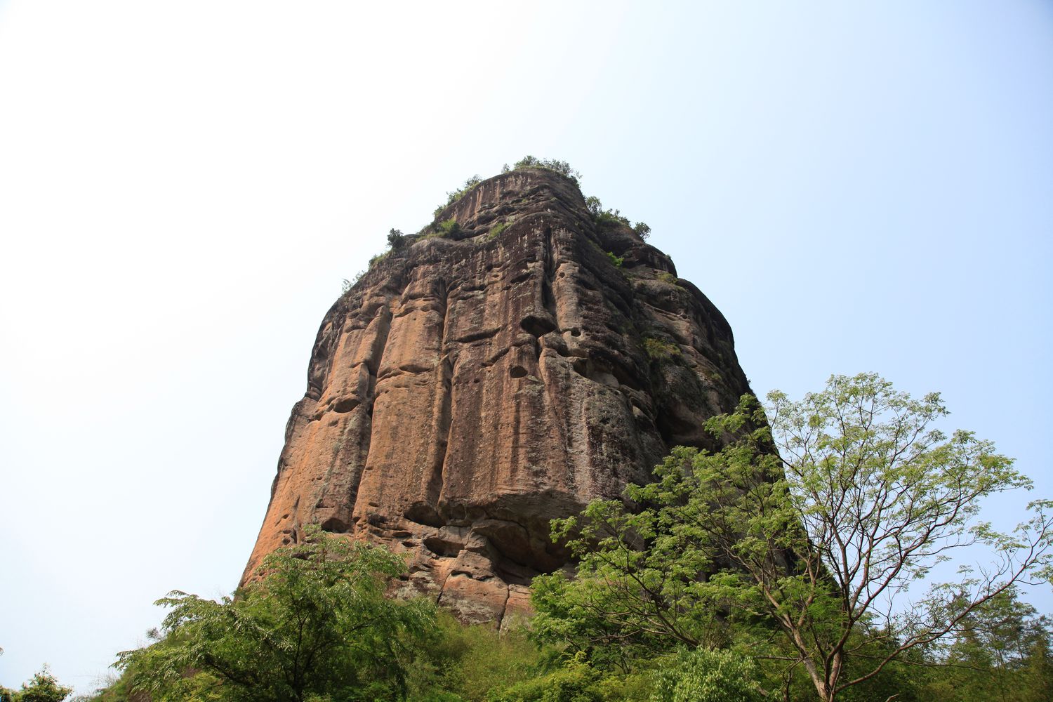 海南，厦门，武夷山 988.jpg