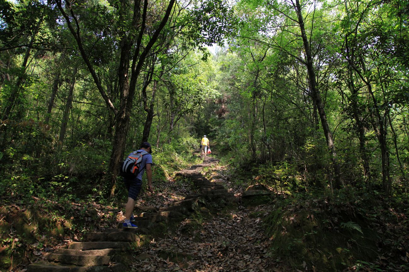 海南，厦门，武夷山 1047.jpg