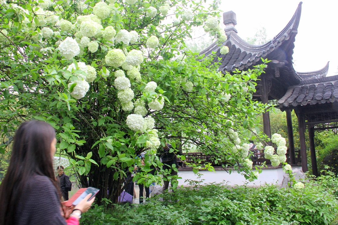 IMG_0192_副本.jpg