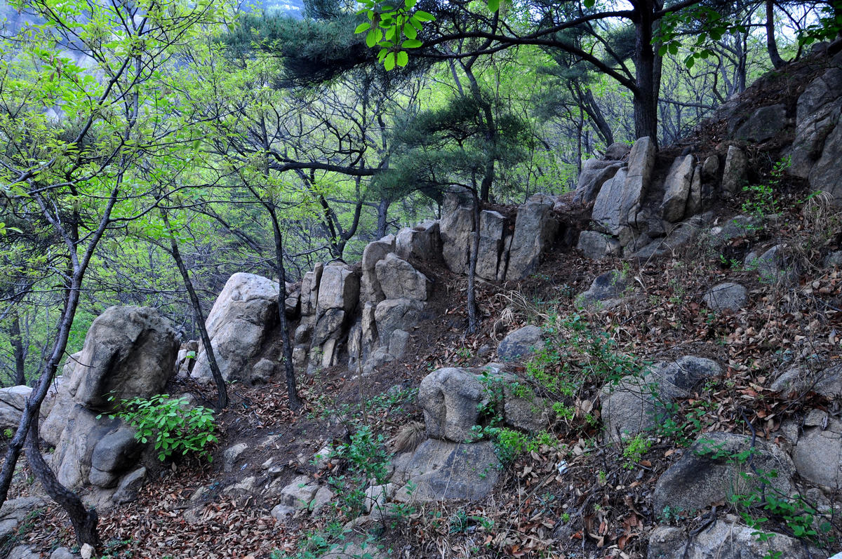 nEO_IMG_DSC_1624.jpg