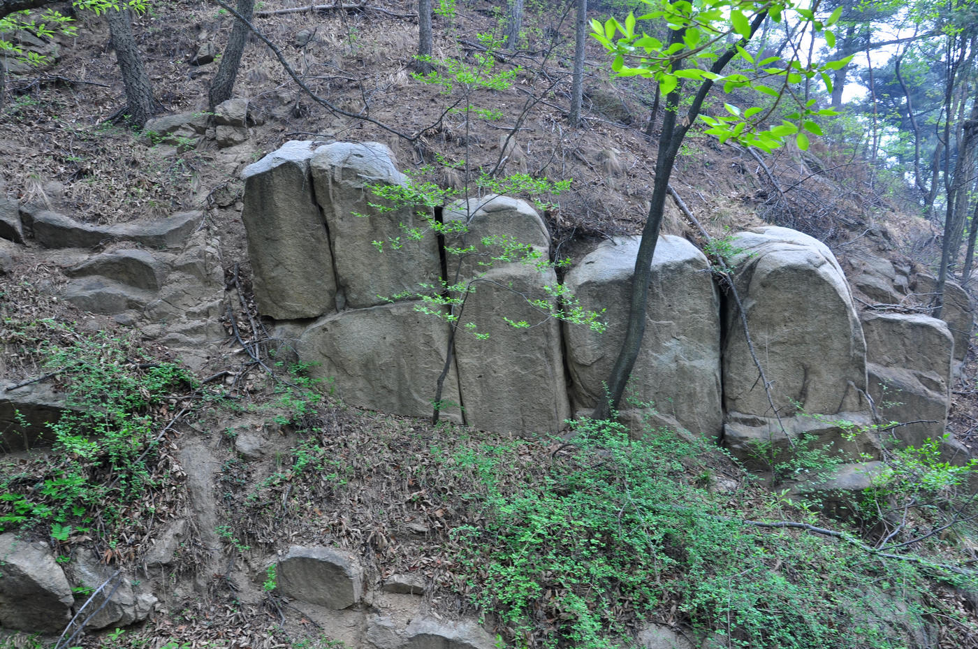 nEO_IMG_DSC_1745.jpg