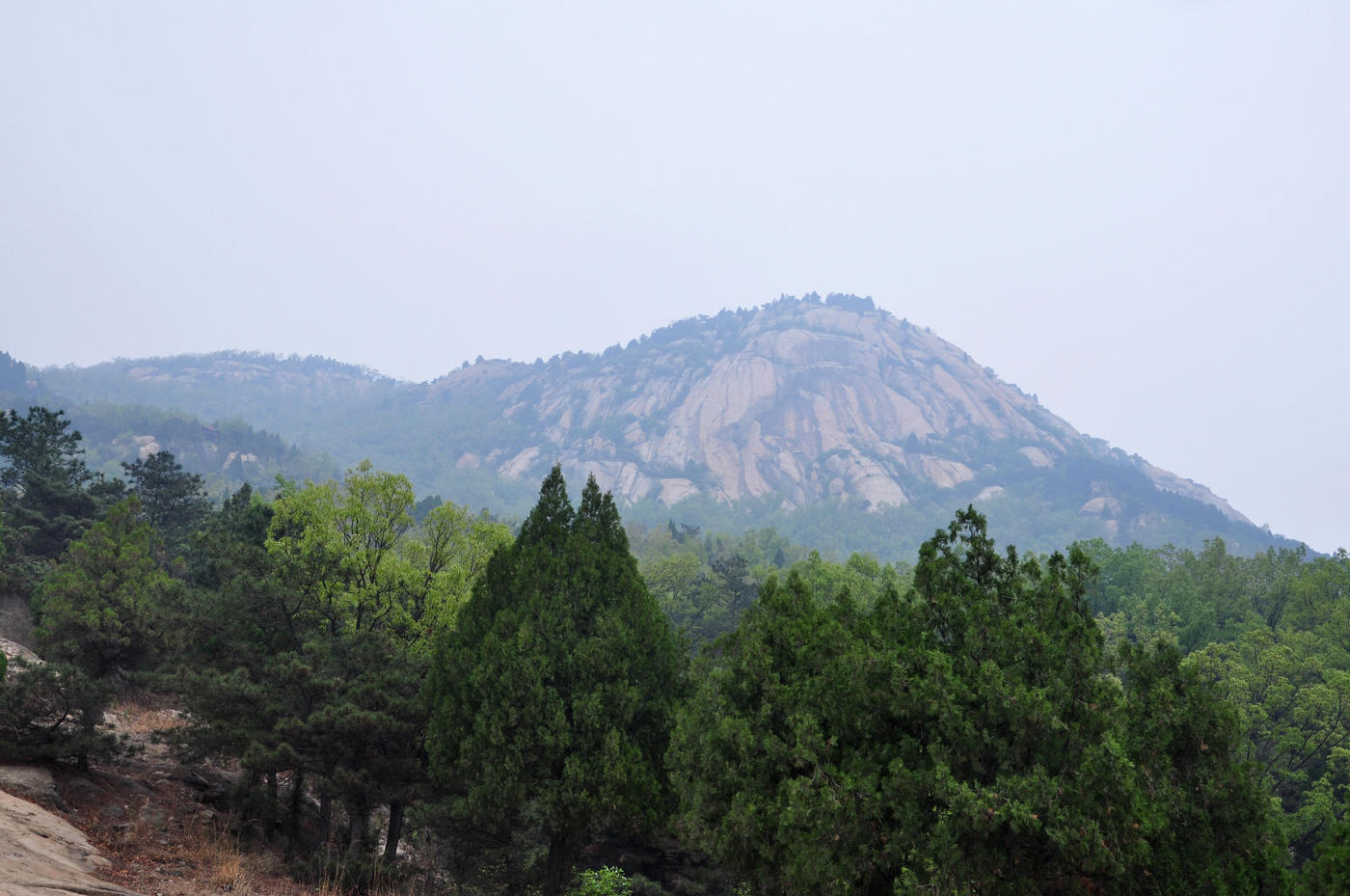 nEO_IMG_DSC_1814.jpg