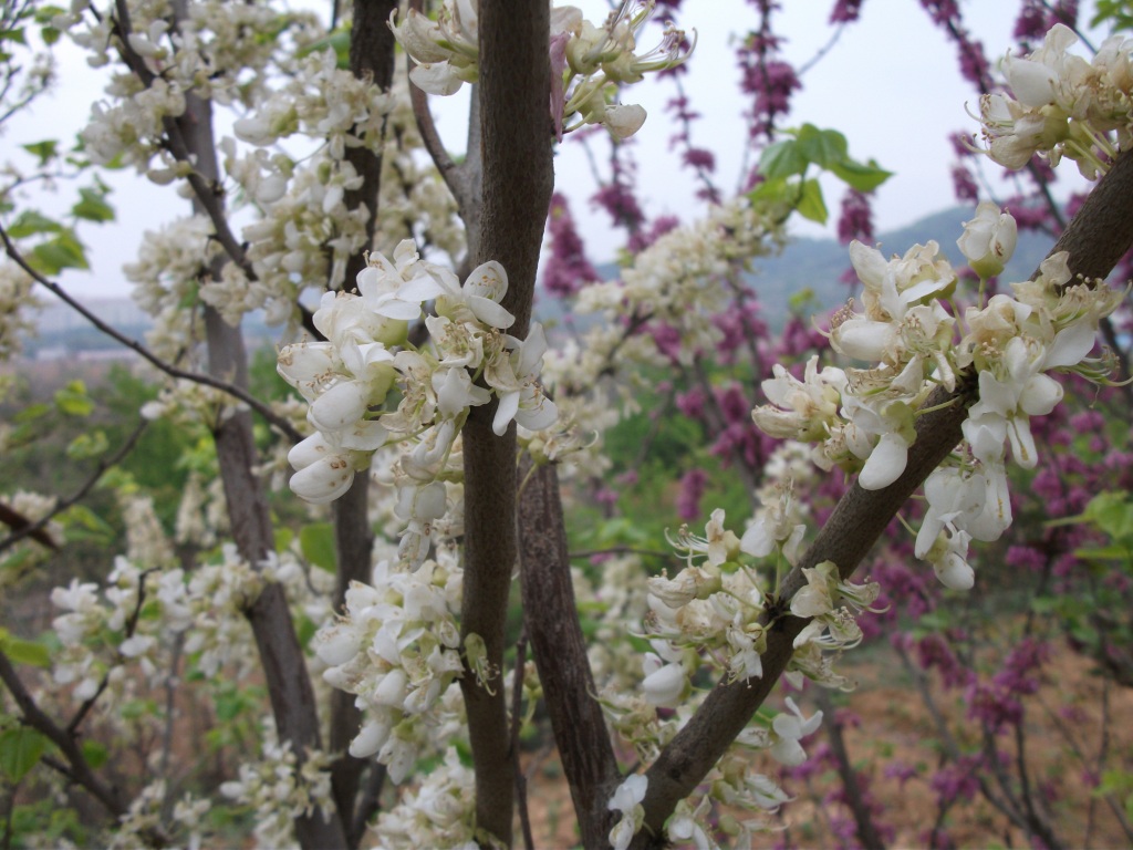 DSCF5938.JPG