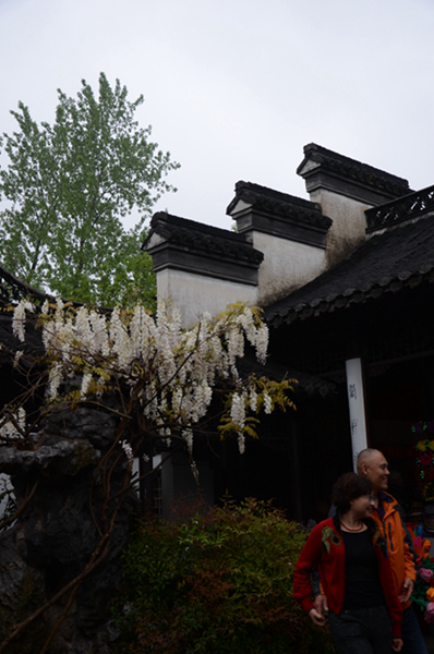 烟花三月下扬州 239.jpg
