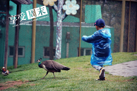 MA201404301443440007-00-00101c000.jpg