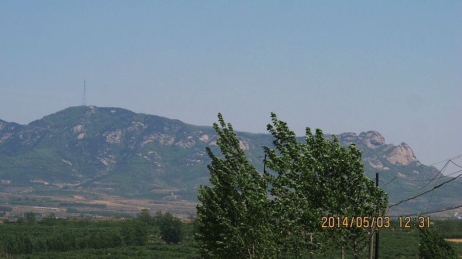 IMG_4233.jpg