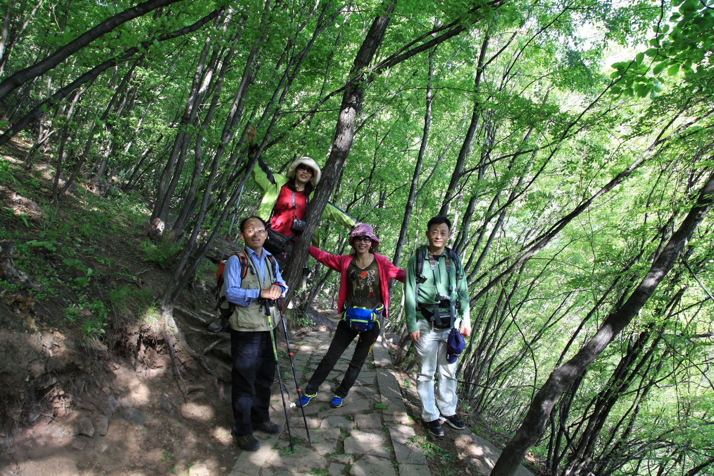 太行山 368.jpg