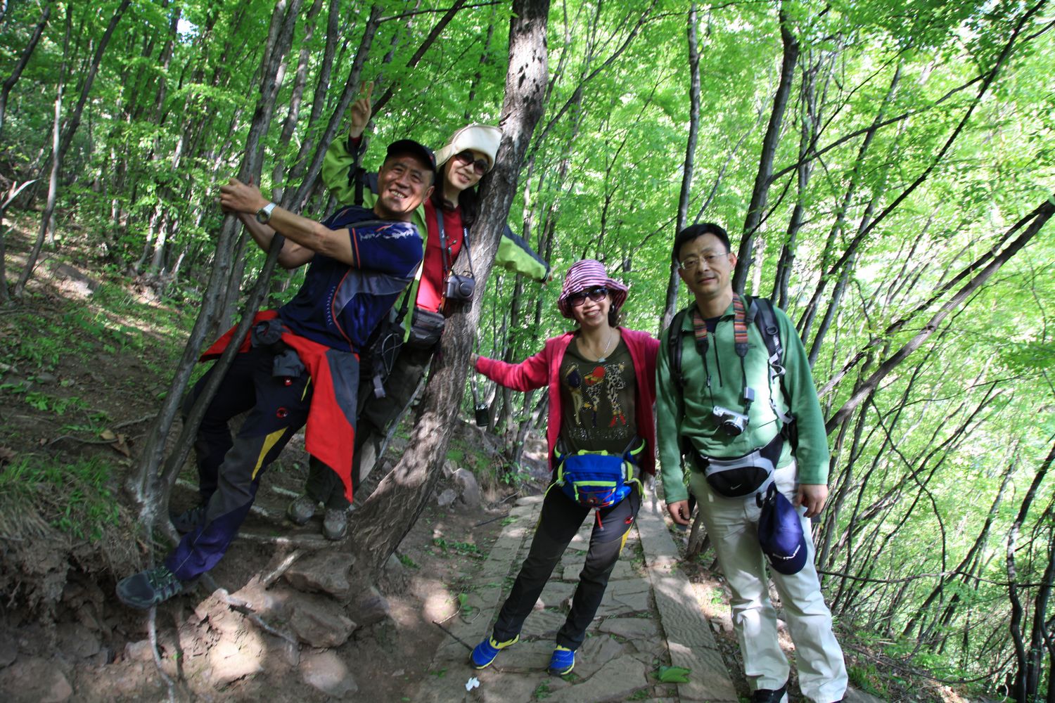 太行山 371.jpg