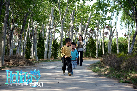 MA201405032053380081-00-0001d6000.jpg