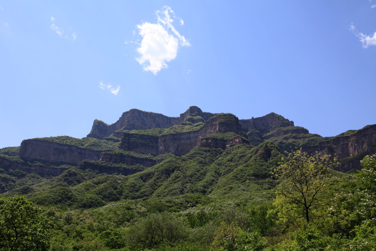 太行山 561.jpg