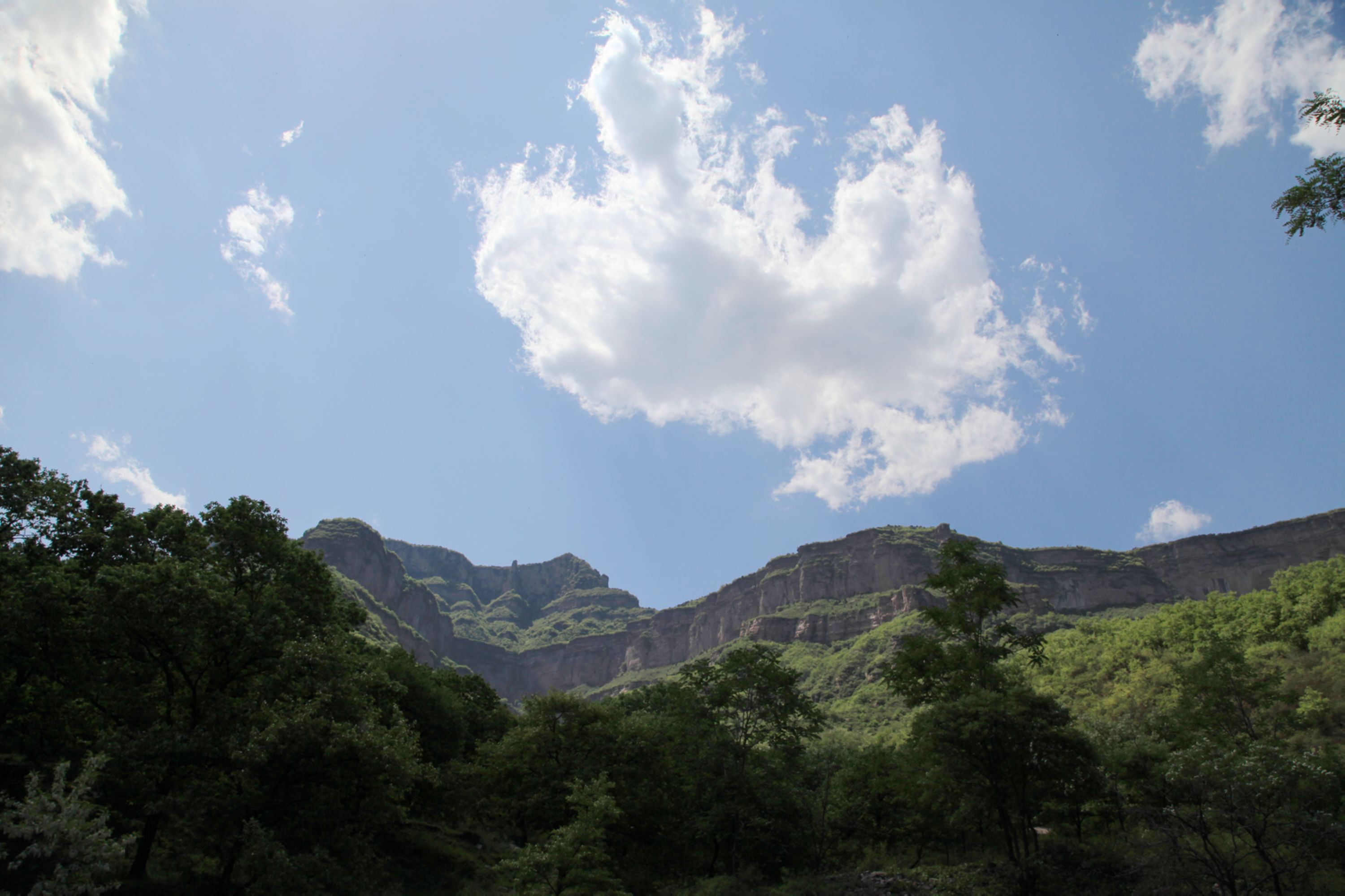 太行山 569.jpg