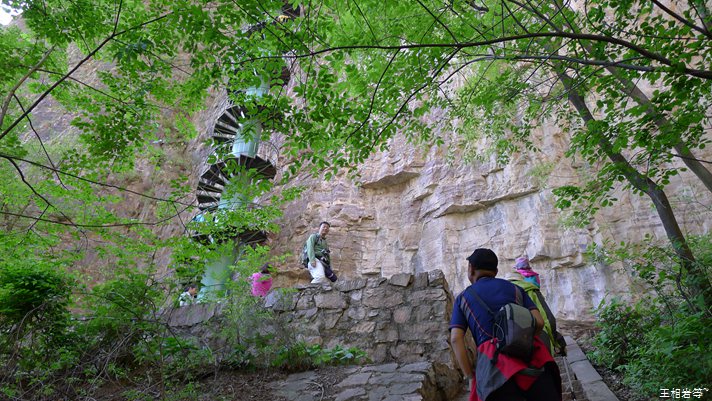 P1040520.jpg