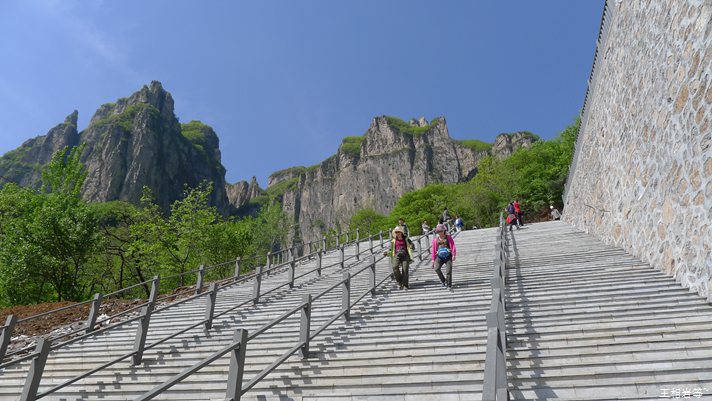 P1040660.jpg